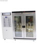 HTHP Core Aging System Model RCAS-250
