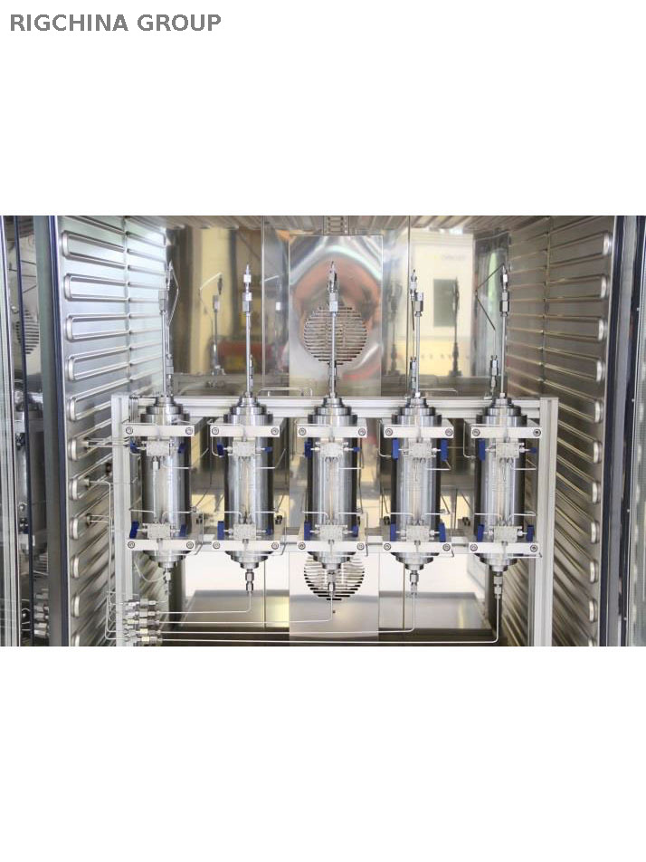 HTHP Core Aging System Model RCAS-250